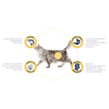 Advance Sensitive Gato