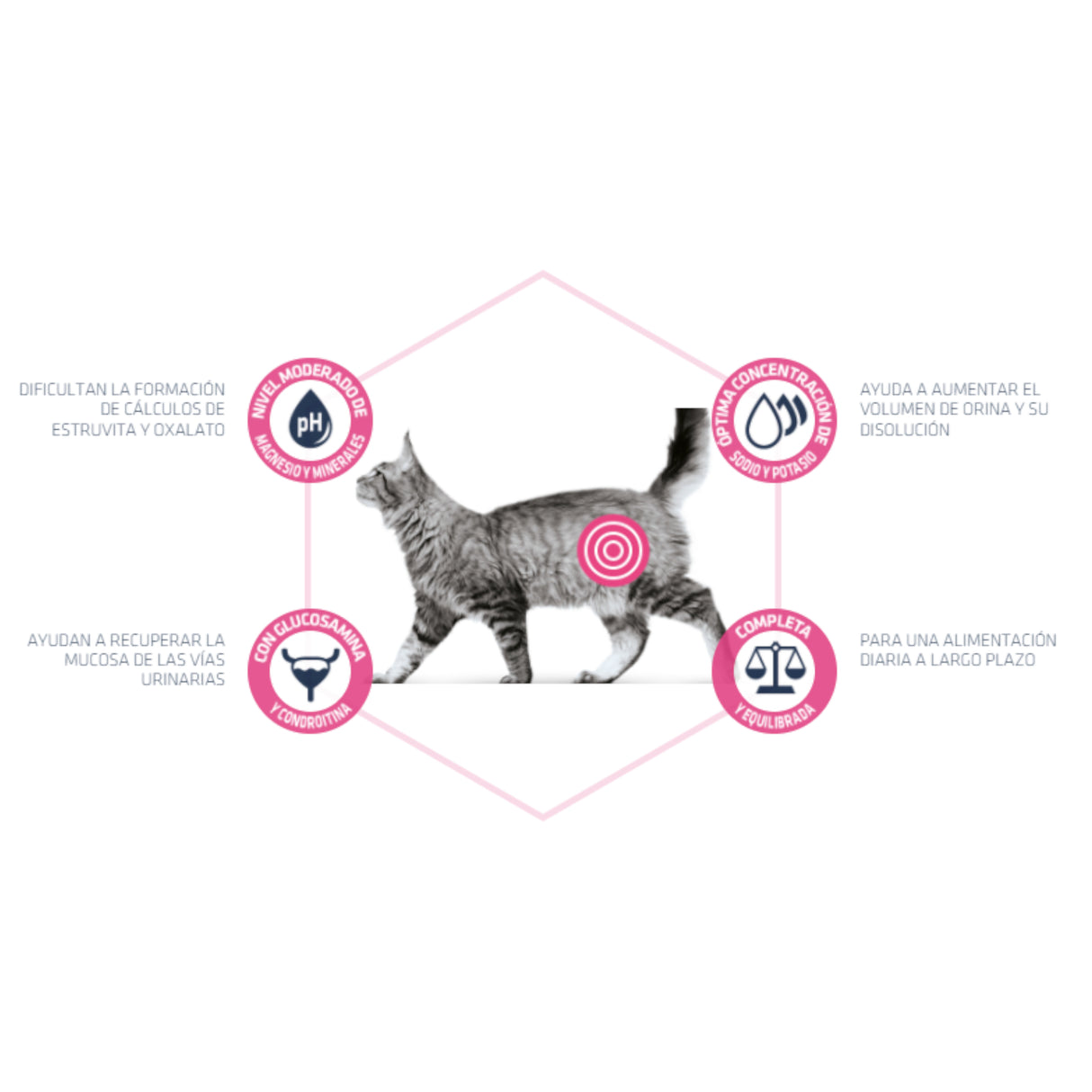 Advance Urinary Gatos