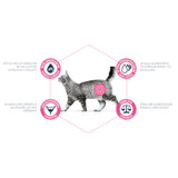 Advance Urinary Gatos