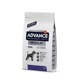 Advance Articular