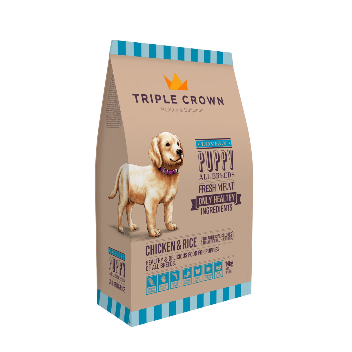 Triple Crown Lovely Puppy