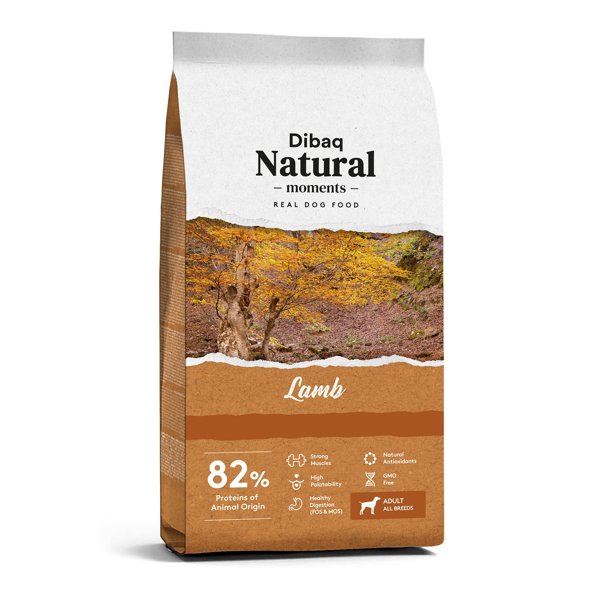 Dibaq Natural Moments Cordero