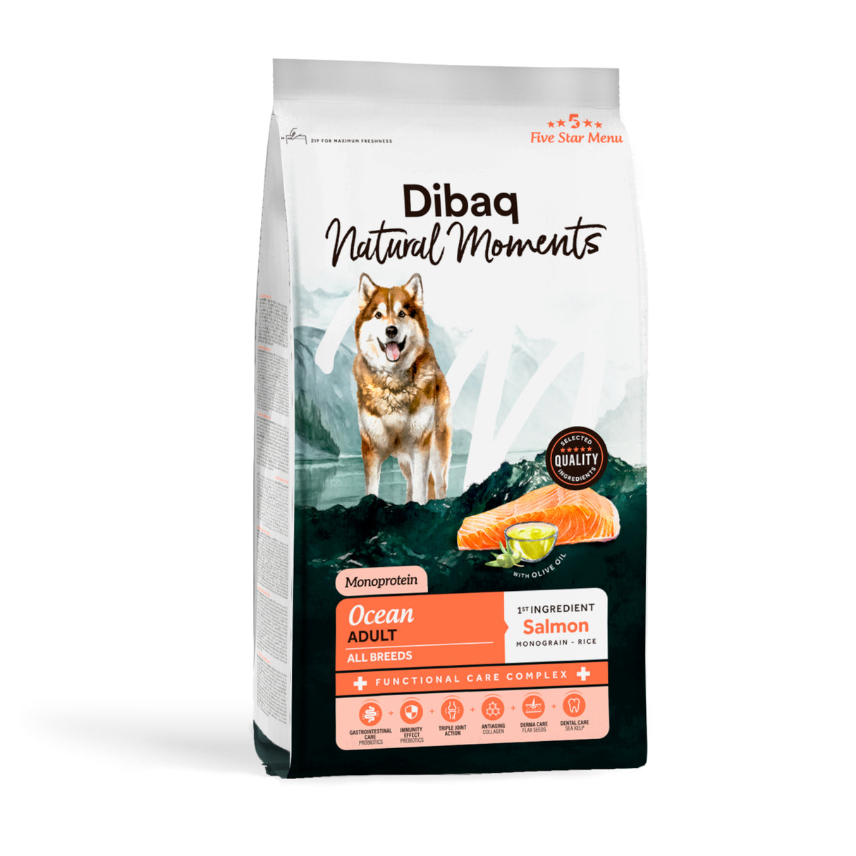 Dibaq Natural Moments Dog Ocean