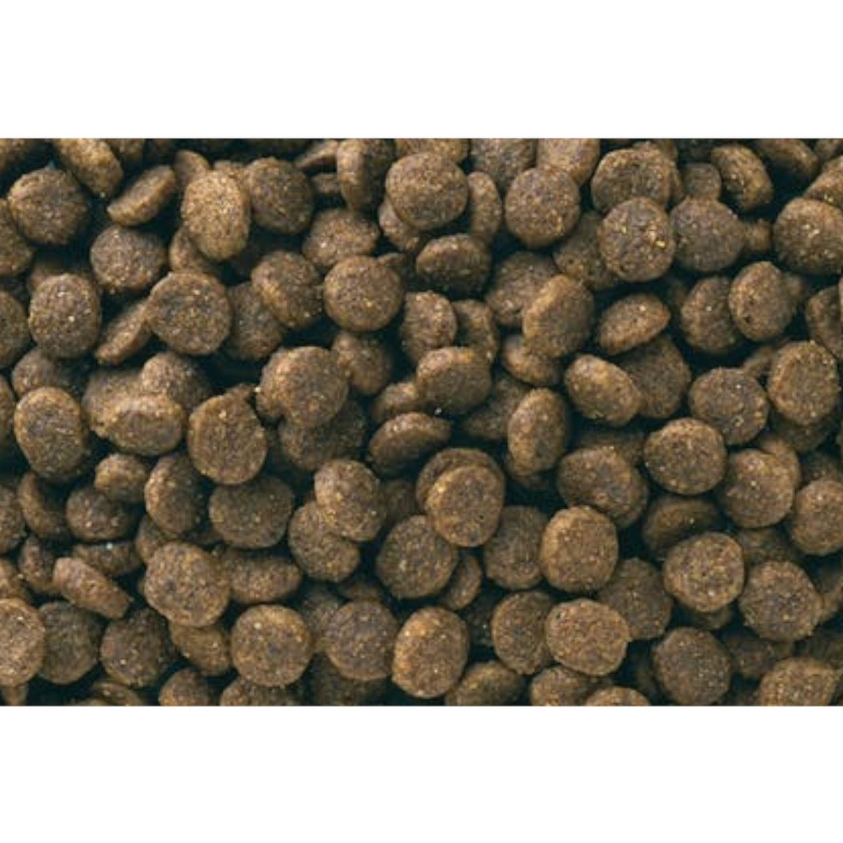Eukanuba Puppy Small Breed