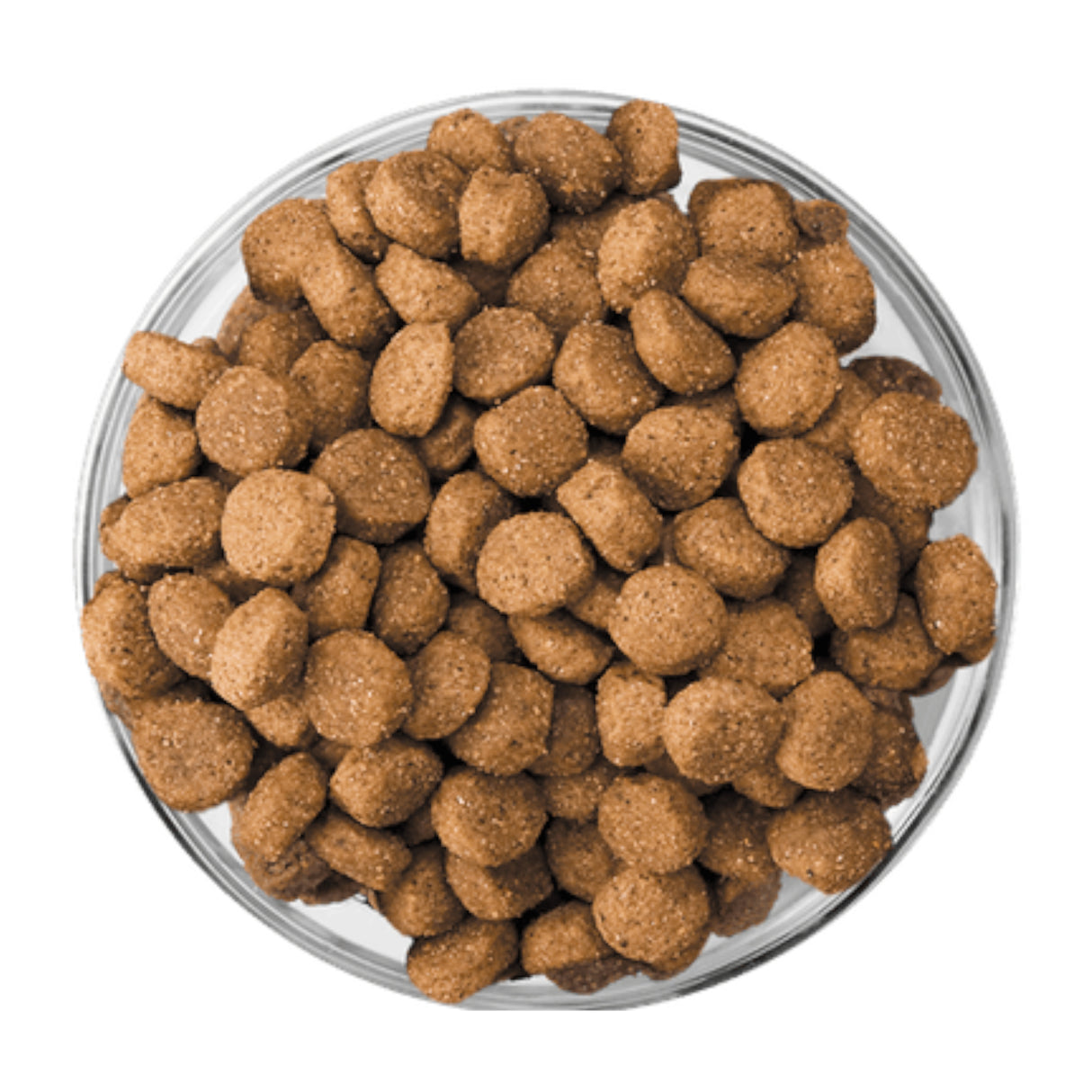 Eukanuba Puppy Large Breed