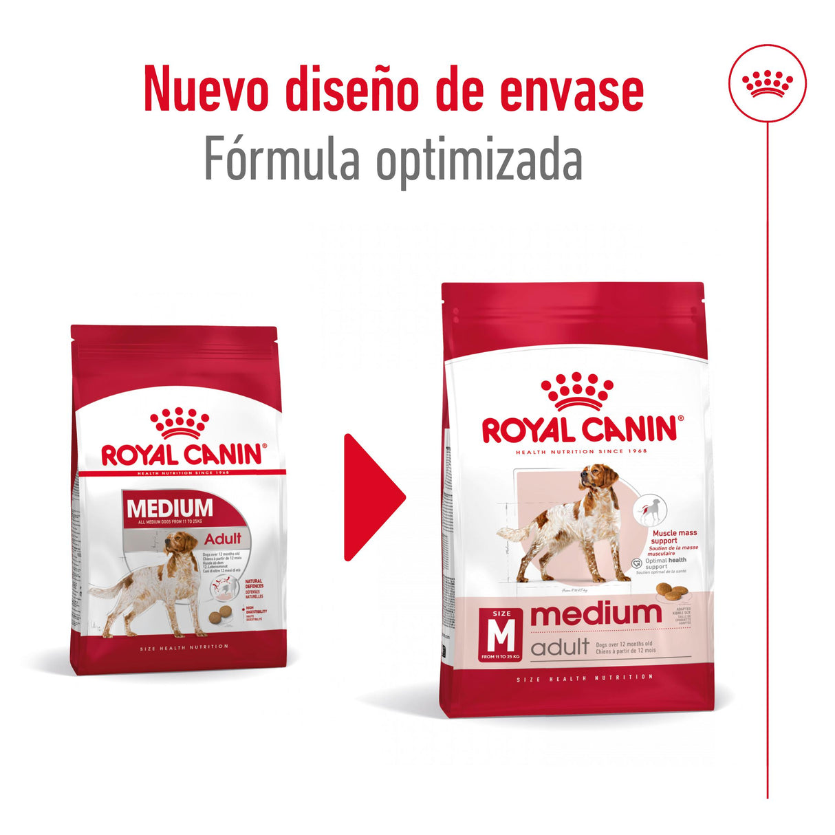 Royal Canin Perro Medium Adult