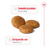 Royal Canin Perro Medium Adult