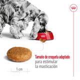 Royal Canin Perro Medium Adult