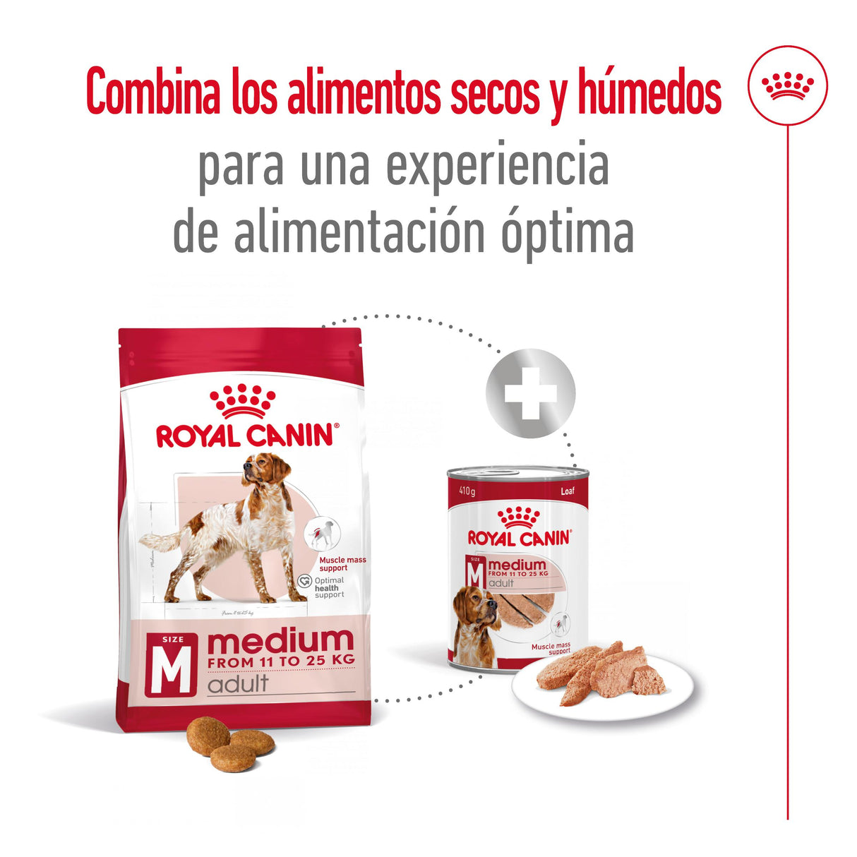 Royal Canin Perro Medium Adult