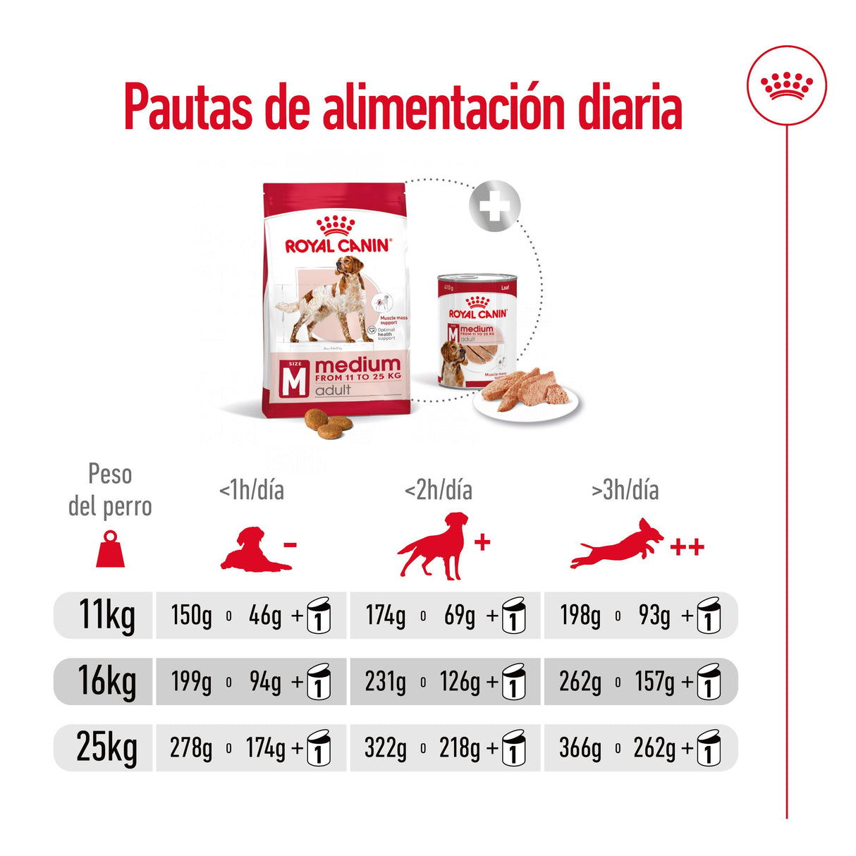 Royal Canin Perro Medium Adult