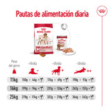 Royal Canin Perro Medium Adult