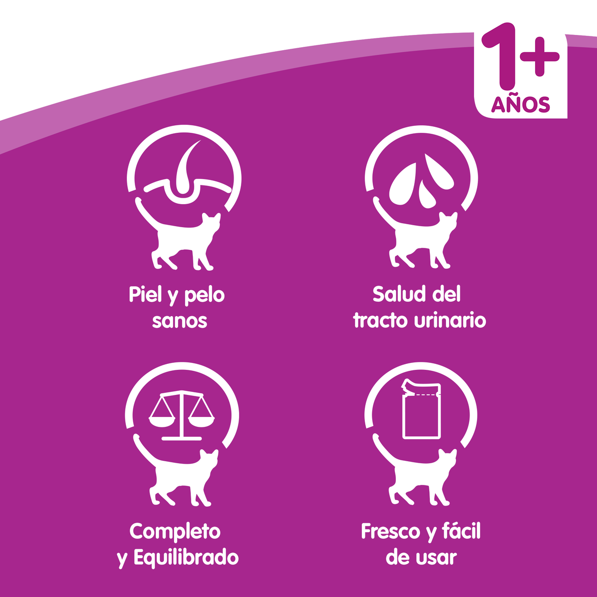 Whiskas Comida Húmeda para Gatos Adultos Selección Aves en Gelatina