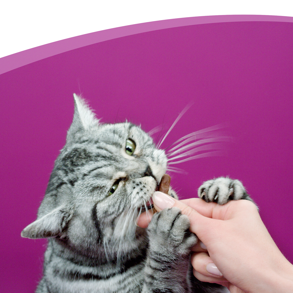 Whiskas Sticks Gatos Sabor Salmón